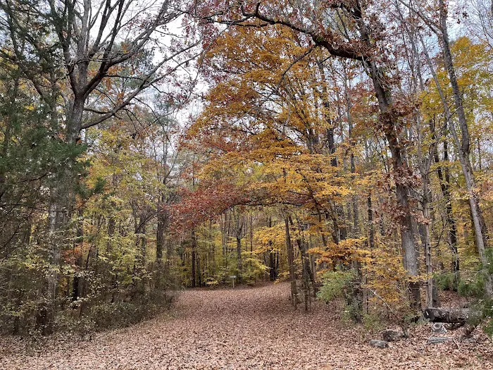Kerr Lake Area 3 6