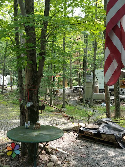 Gray Squirrel Campground 2