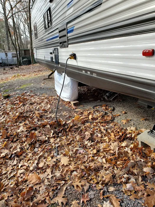 Gray Squirrel Campground 6