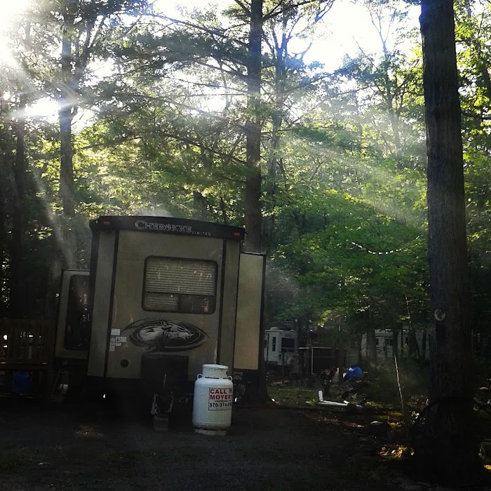 Gray Squirrel Campground 8