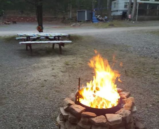 Gray Squirrel Campground