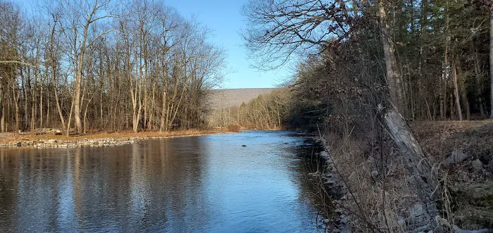 Sunsational Family Campground 5