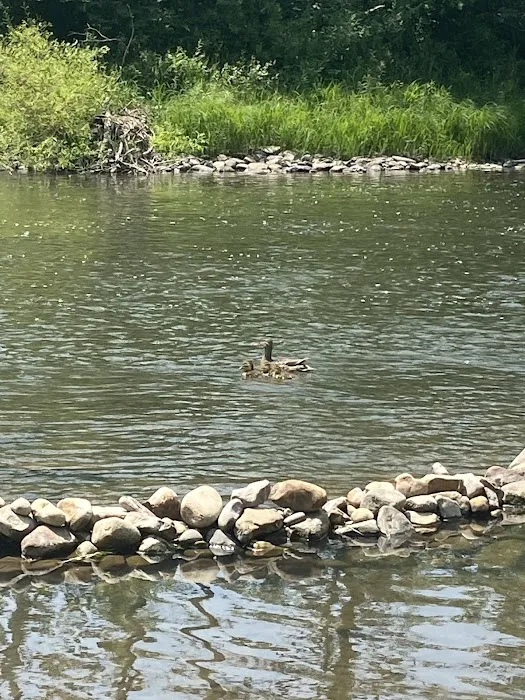 Penn's Creek Campground 4