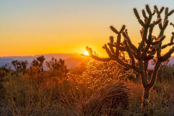 Lincoln St Desert Retreat 8