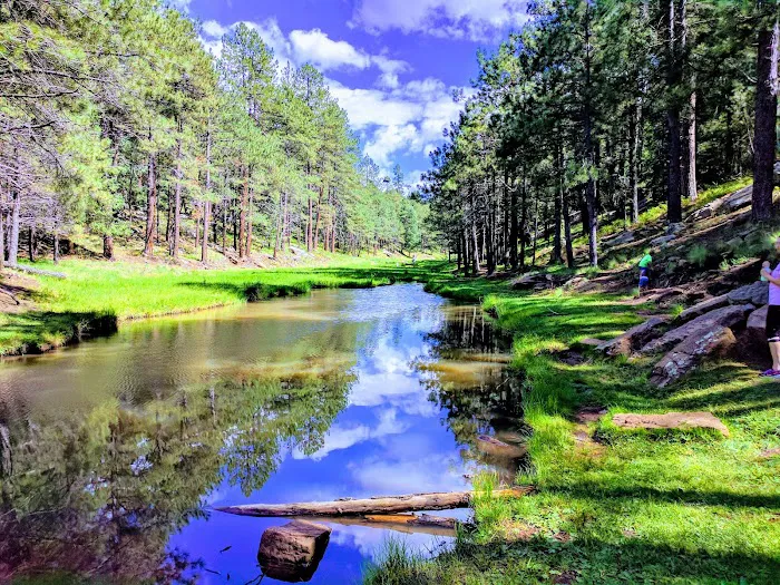 Spillway Campground 6