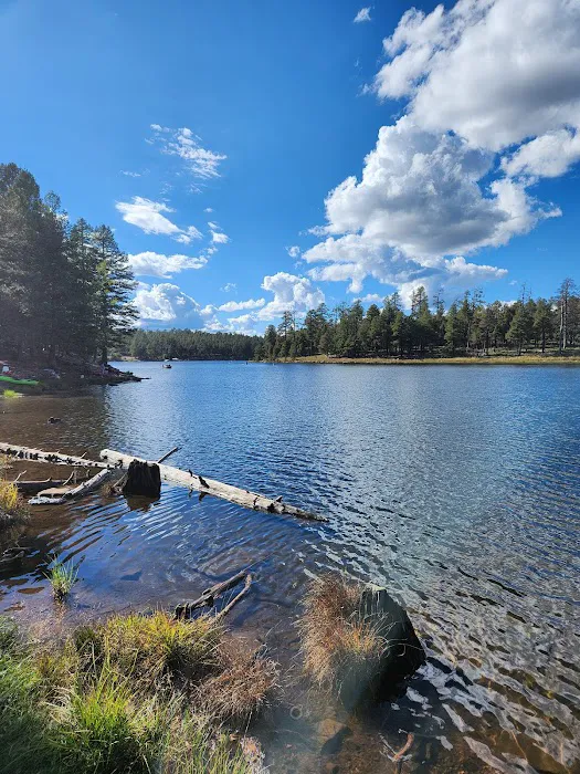 Spillway Campground 1