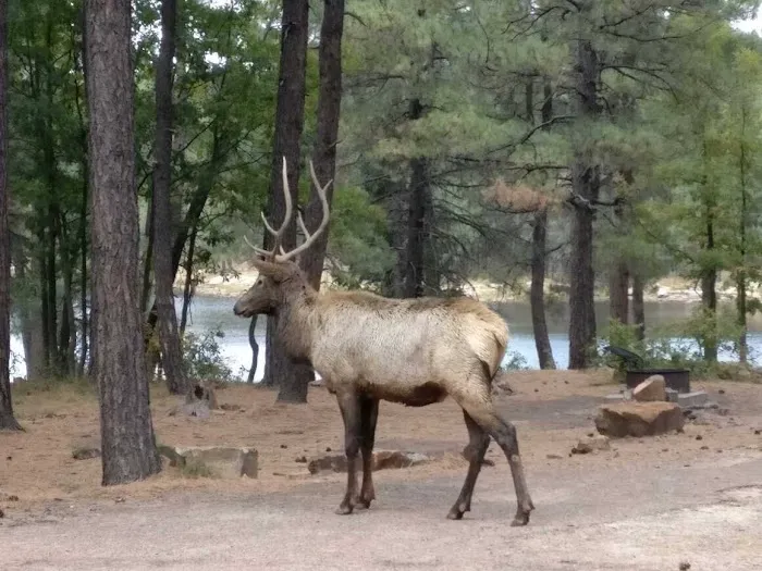 Spillway Campground 4