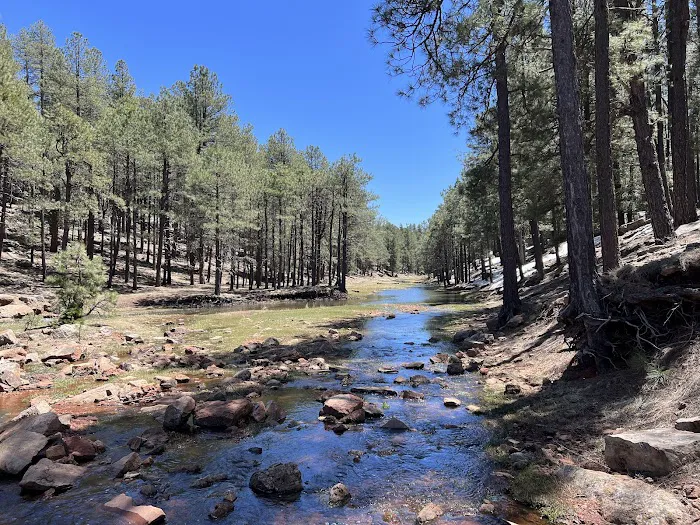 Spillway Campground 2