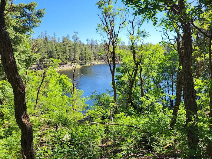 Woods Canyon Lake Group Campground 9