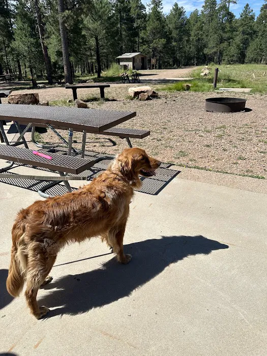 Woods Canyon Lake Group Campground 6