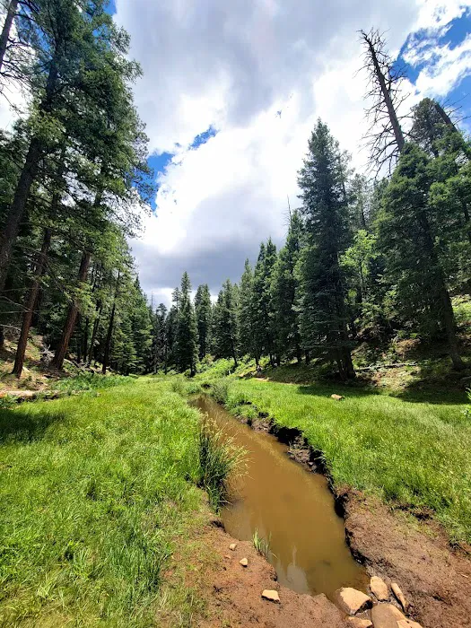 Woods Canyon Lake Group Campground 8
