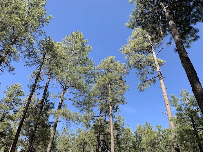 Woods Canyon Lake Group Campground 1