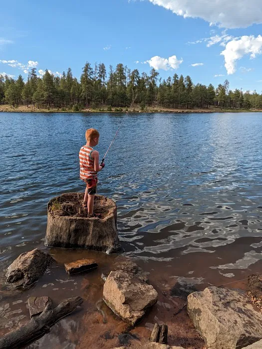 Aspen Campground 3