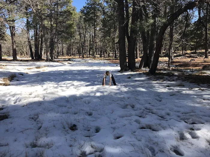 Crook Campground 3