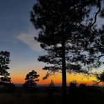 Rim Lakes Vista Observation Site (recgovnpsdata)