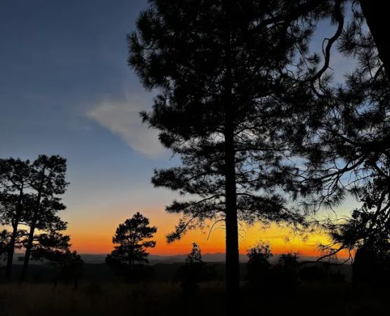 Rim Lakes Vista Observation Site (recgovnpsdata)