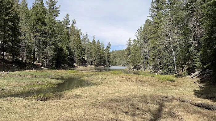 Rim Lakes Vista Observation Site (recgovnpsdata) 3