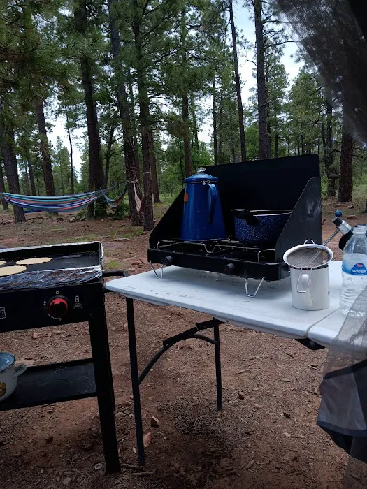 Mogollon Campground 5