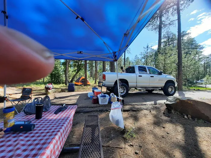 Mogollon Campground 6
