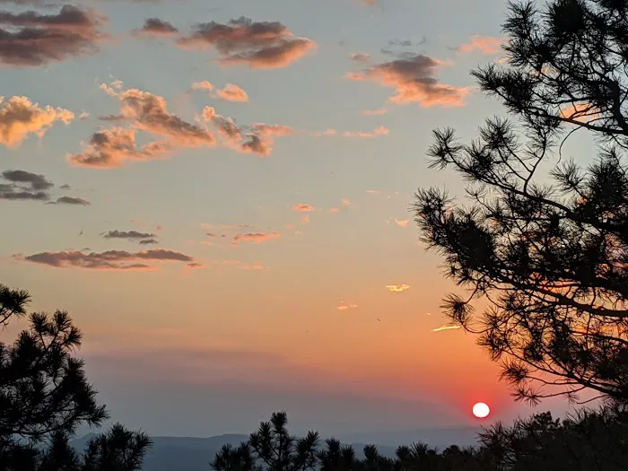 Mogollon Campground 4