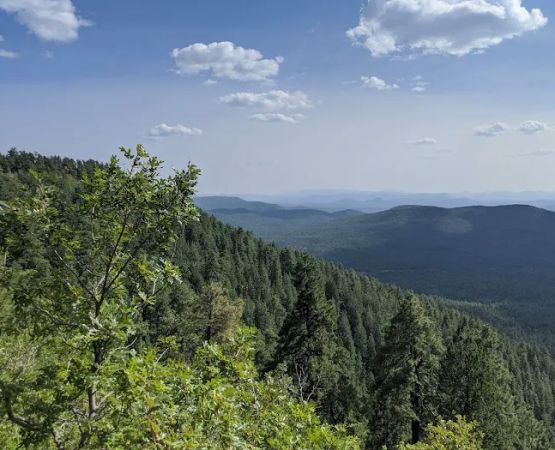 Mogollon Campground