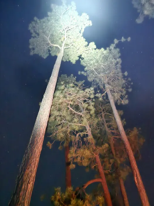 Mogollon Campground 7