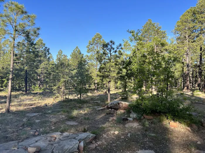 Mogollon Campground 1