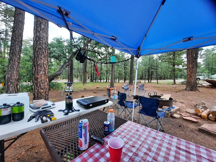 Mogollon Campground 9
