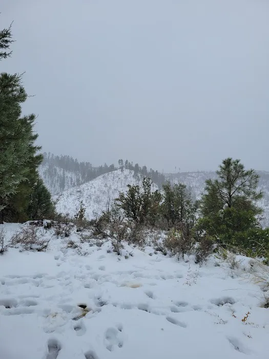Valentine Ridge Campground 1