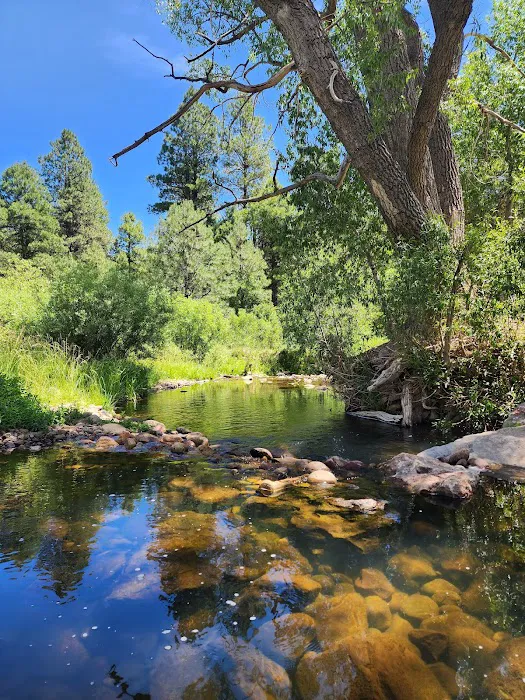 Valentine Ridge Campground 5