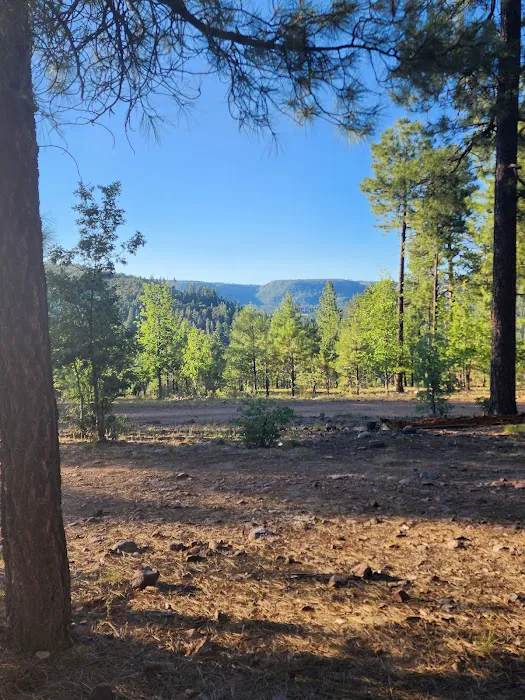 Valentine Ridge Campground 2