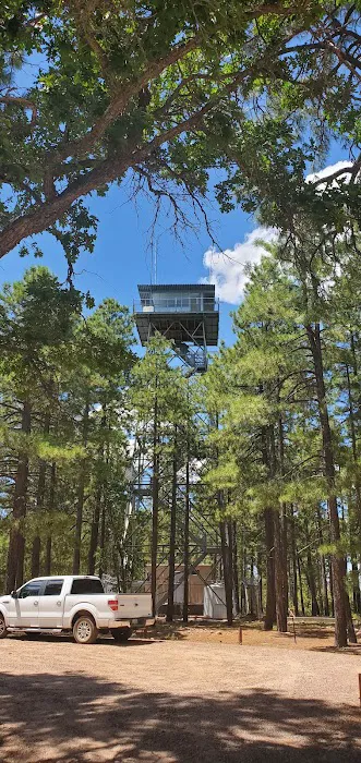 Gentry Campground 4