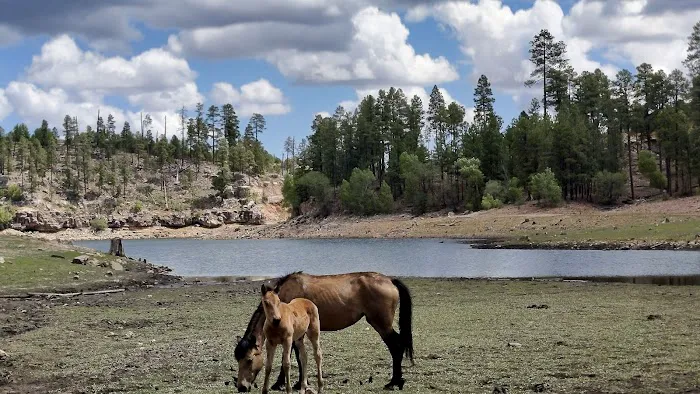 Black Canyon Lake 1
