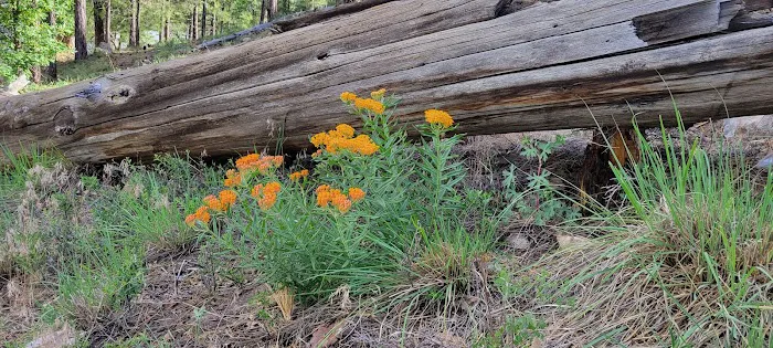 Black Canyon Lake 4