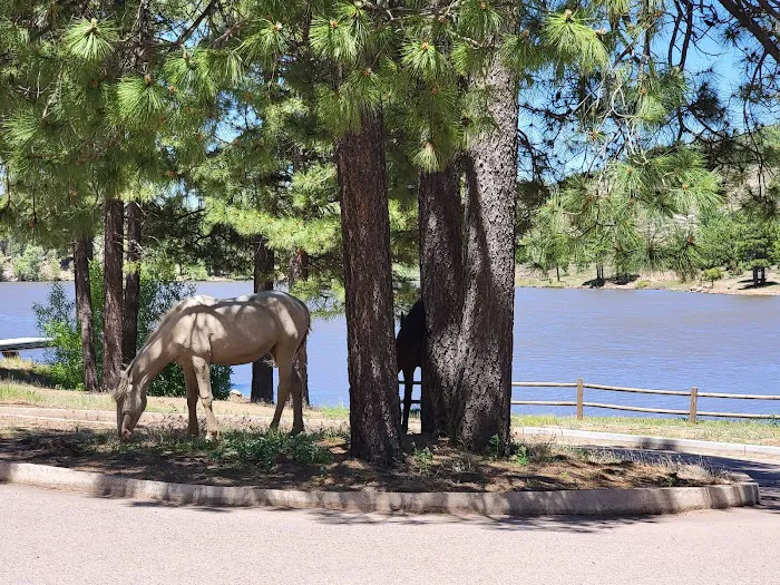 Black Canyon Lake 9