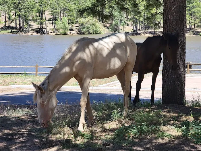 Black Canyon Lake 6