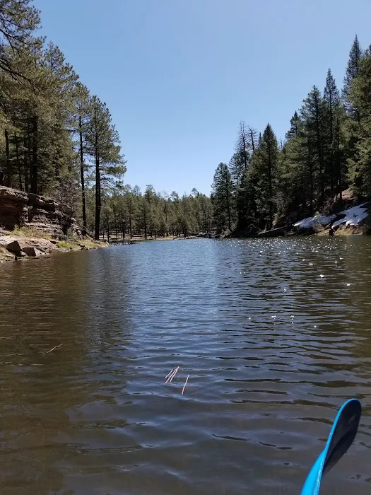 Fr 195 Campground 1