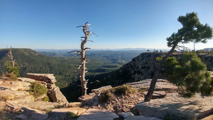 Fr 195 Campground 8