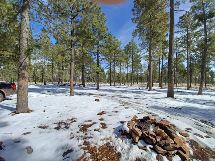 Fr 195 Campground 7