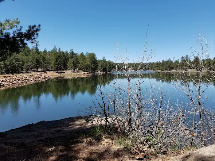 Fr 195 Campground 6