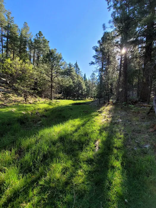 Fr 195 Campground 0
