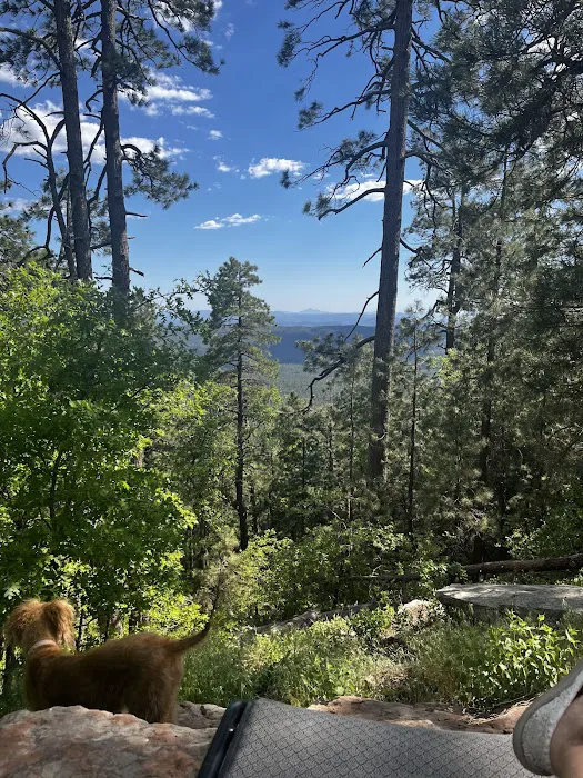 Campsite #4 3