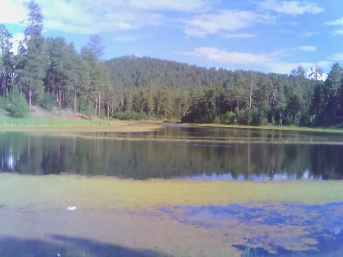 Cooley Lake Campground 1