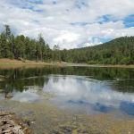 Cooley Lake Campground