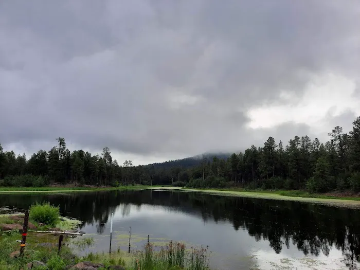 Cooley Lake Campground 7