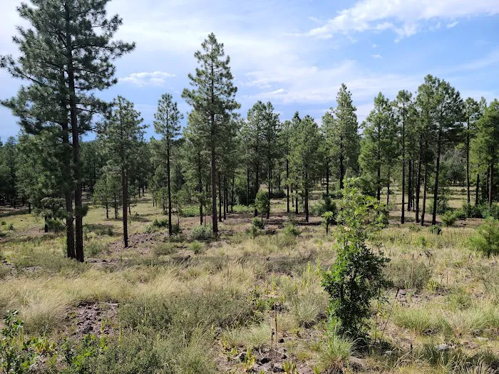 Brown Creek Campground 1