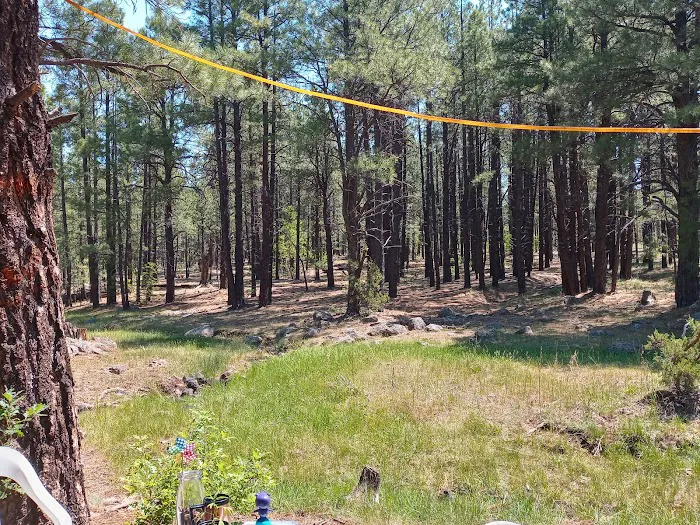 Brown Creek Campground 9