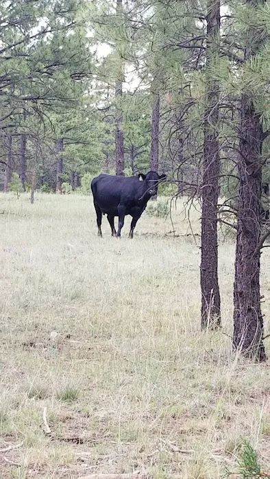Brown Creek Campground 6