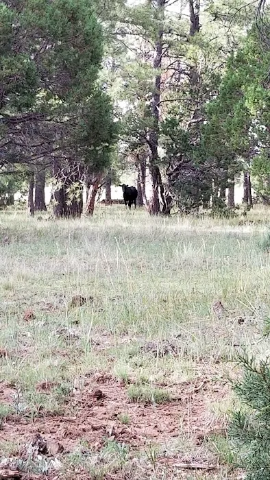 Brown Creek Campground 7