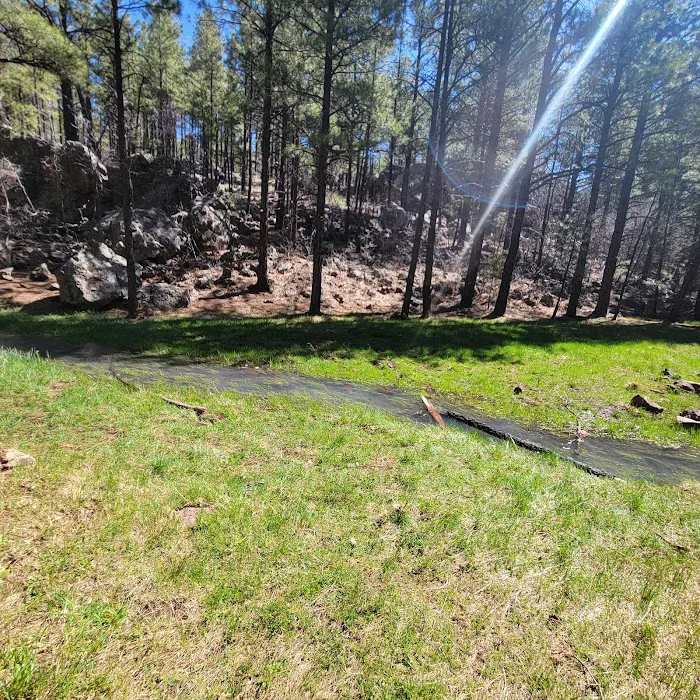 Brown Creek Campground 8